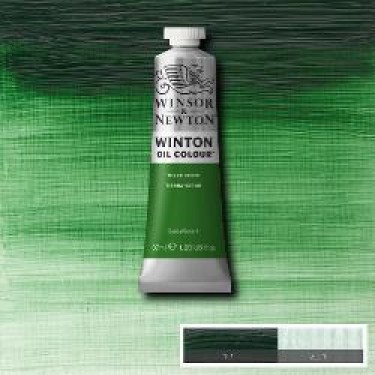 WINTON  TERRE VERTE